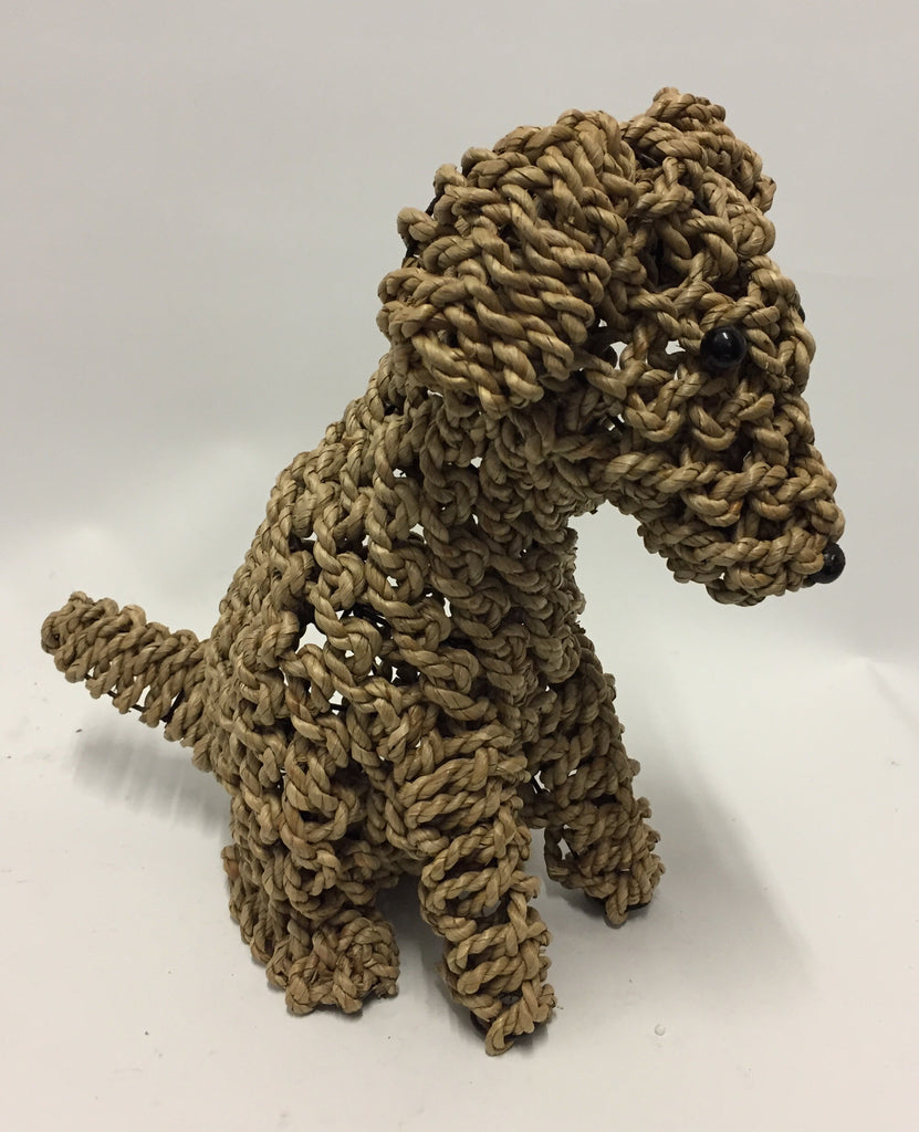 Seagrass Dogs Radiant Imports