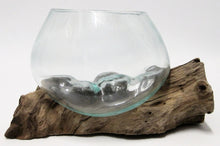 Melted Glass Bowls on Driftwood